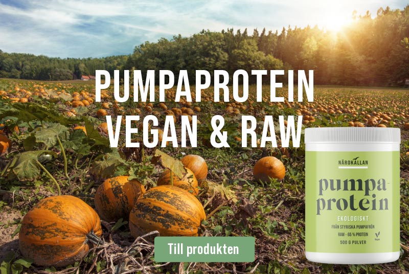 Ekologiskt, raw och veganskt pumpaprotein